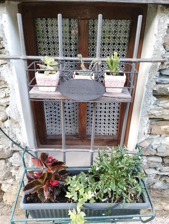 דירות Borzonasca Casa Millin מראה חיצוני תמונה